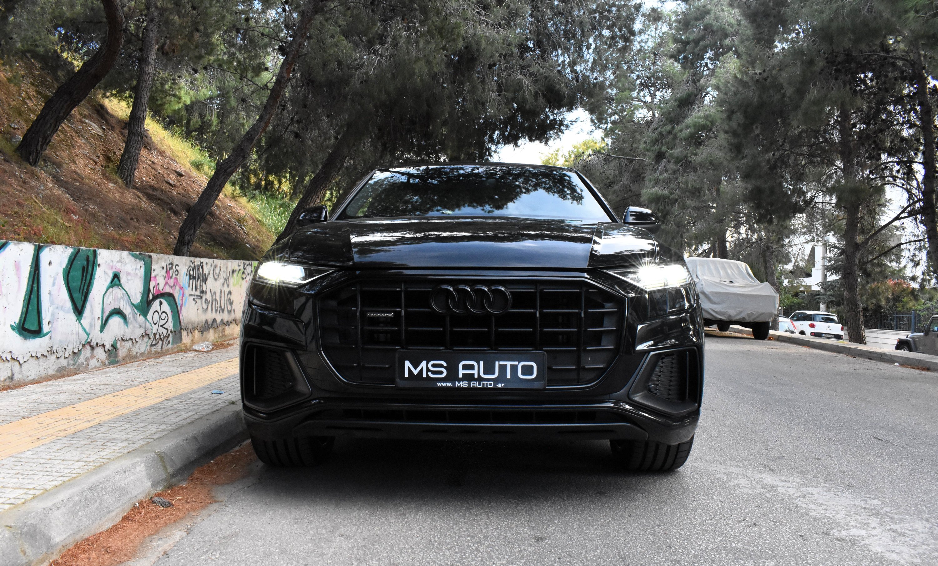 Audi Q8 2023 50 TDI-QUATTRO-S LINE-PANORAMA — 9