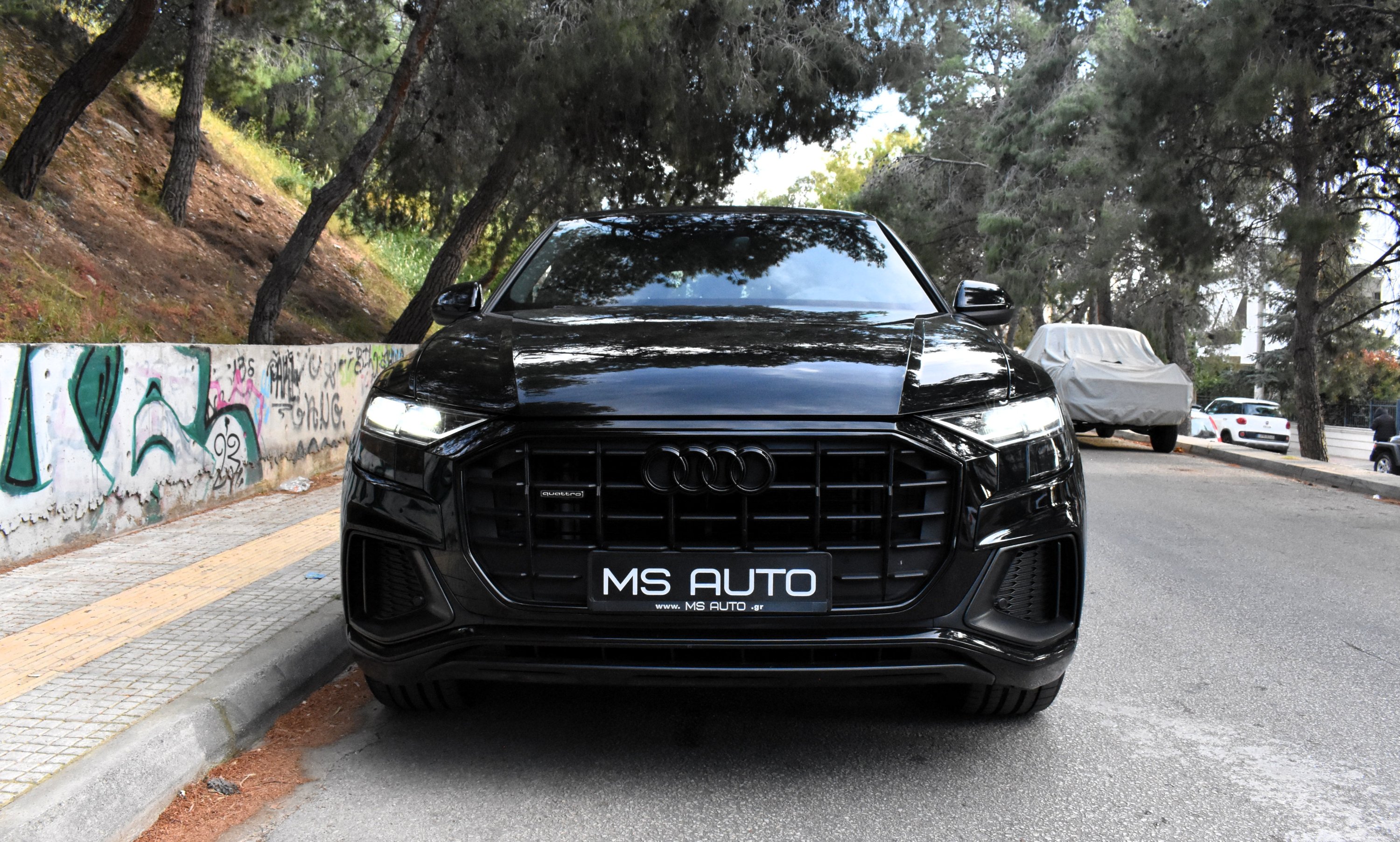 Audi Q8 2023 50 TDI-QUATTRO-S LINE-PANORAMA — 8