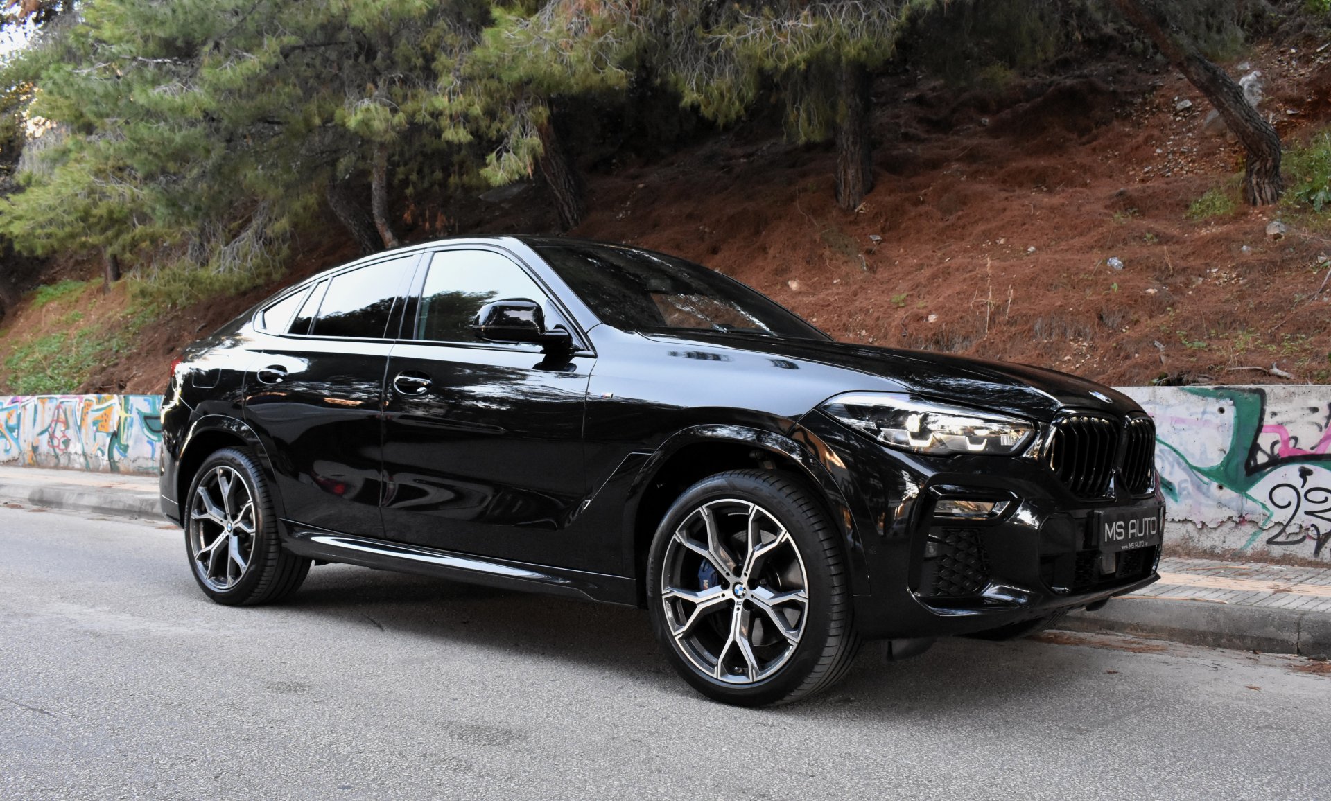 Bmw X6 2020 30d-M PACKET-PANORAMA-M SPORT PRO-HARMAN KARDON — 7