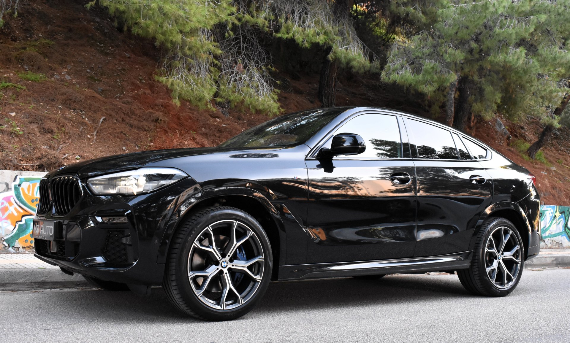 Bmw X6 2020 30d-M PACKET-PANORAMA-M SPORT PRO-HARMAN KARDON
